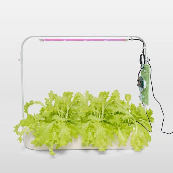 Smart Hydroponics Kit for Classrooms