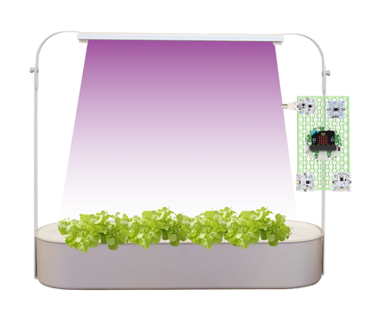 Smart Hydroponics Kit for Classrooms
